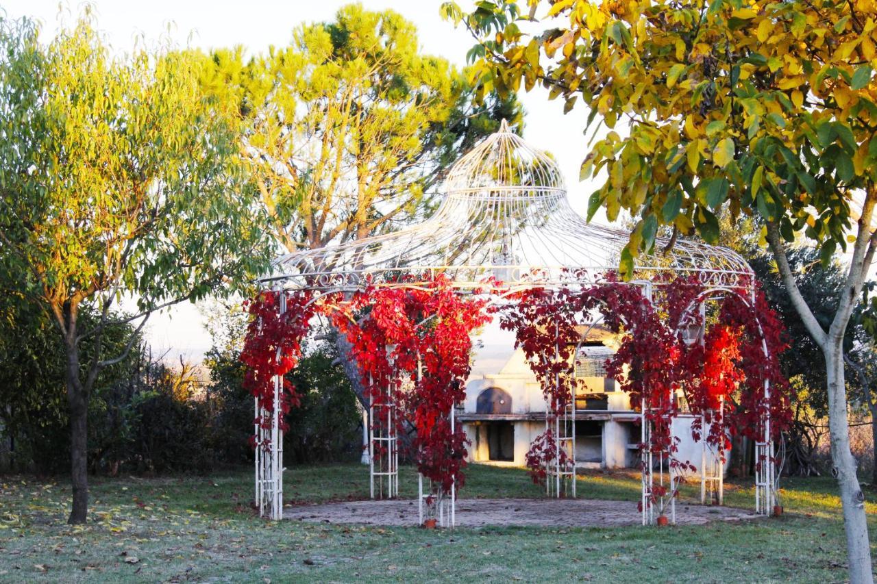 Appartamento Con Piscina E Giardino A Siena Exterior photo
